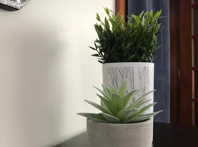 De Frente O Mar 招待所 3*